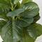 3ft. Artificial Fiddle Leaf Fig Tree With Handmade Cotton & Jute Woven Planter Set DIY Kit